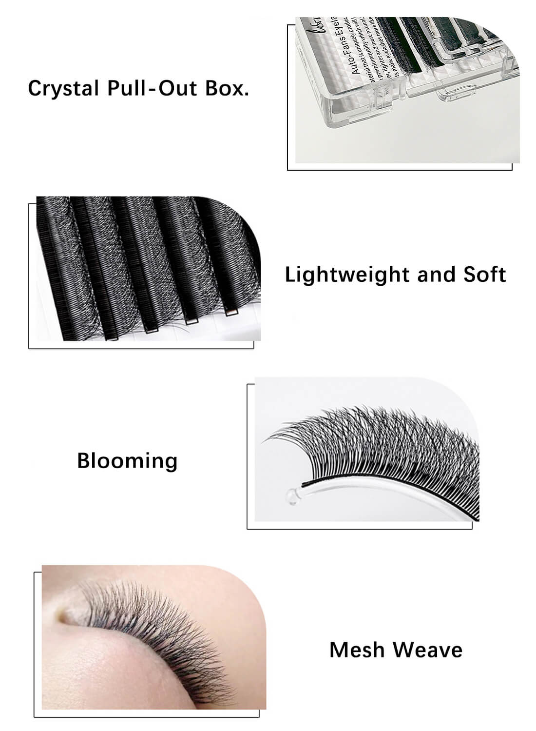 L&wen Auto Fans Fake False Eyelashes for Extension Grafting