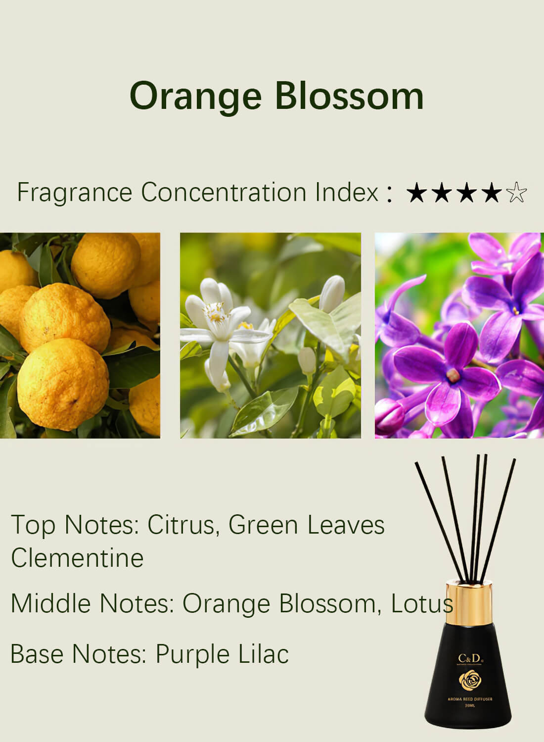 Reed Diffuser, Air Fresh Essential Oil Diffuser 30ml