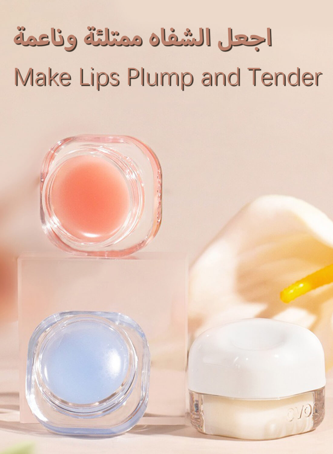 Day and Night Lip Mask 5.4G