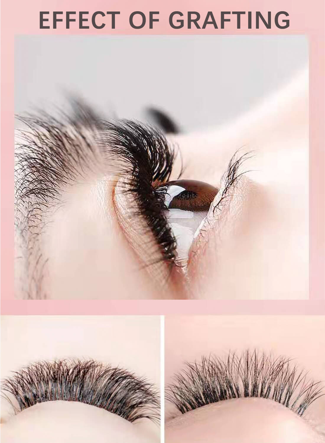 L&wen Auto Fans Fake False Eyelashes for Extension Grafting